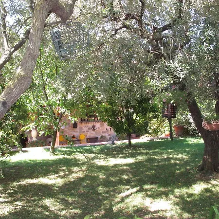 Villa Capo Corso By Interhome Corsanico-Bargecchia
